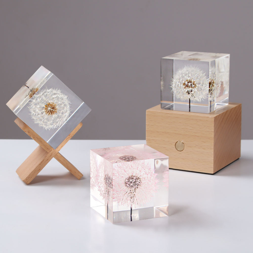 Flower Preservation Resin - Löwenzahn konservierte frische Blumen und getrocknete