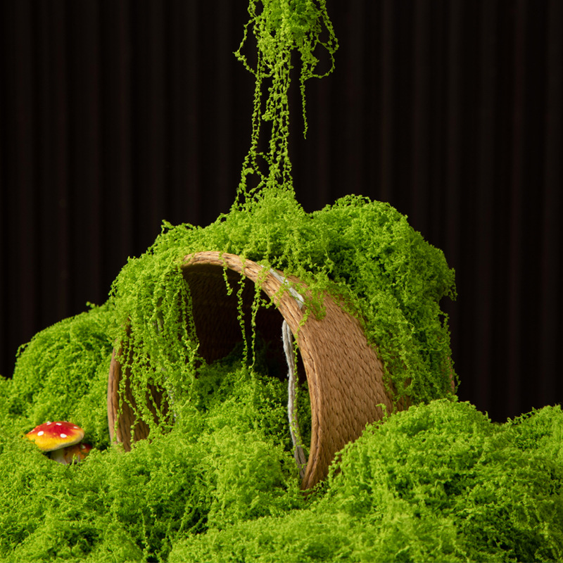 Terrarium Moss Art - 200g Ewiges Leben Moos DIY Bastelbedarf