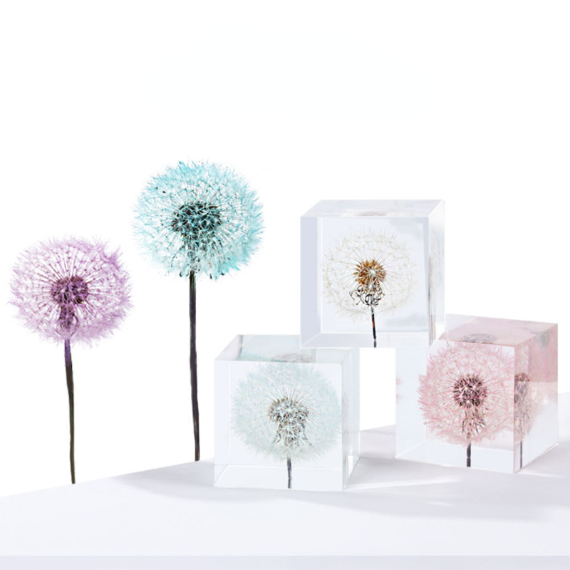 Löwenzahn konservierte frische – Flower Preservation Resin Bewertung und Preis
