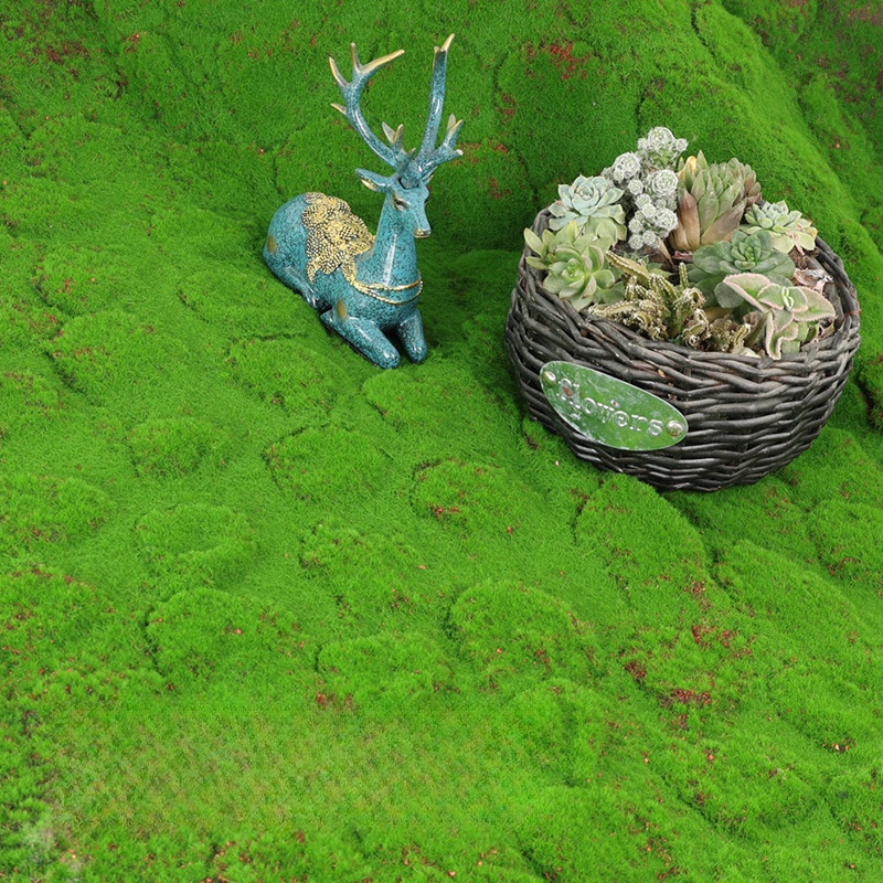 Kunstrasen Moos Simulation Gra – Terrarium Moss Art Bewertung und Preis