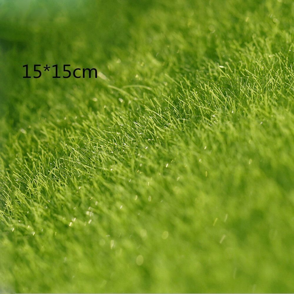 Ökologische Rasendekoration Ga – Terrarium Moss Art Bewertung und Preis