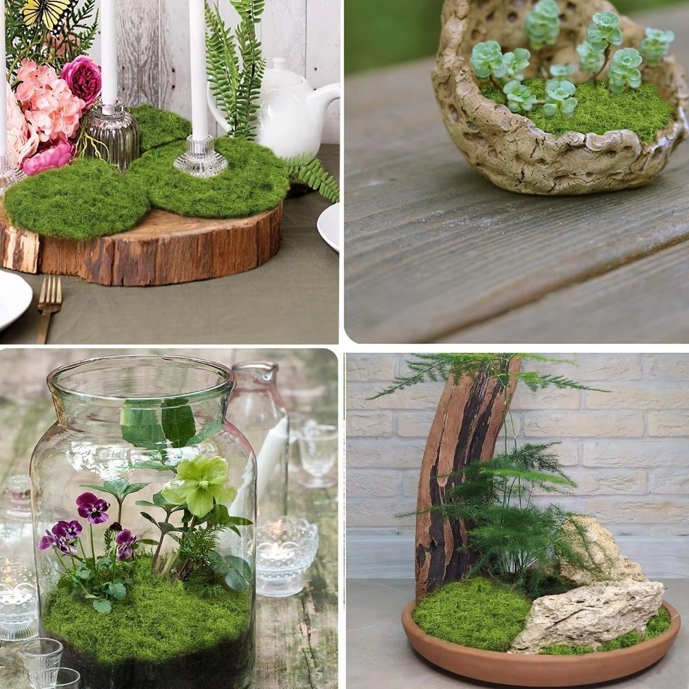 DIY Kunstrasen-Teppich Langleb – Terrarium Moss Art Bewertung und Preis