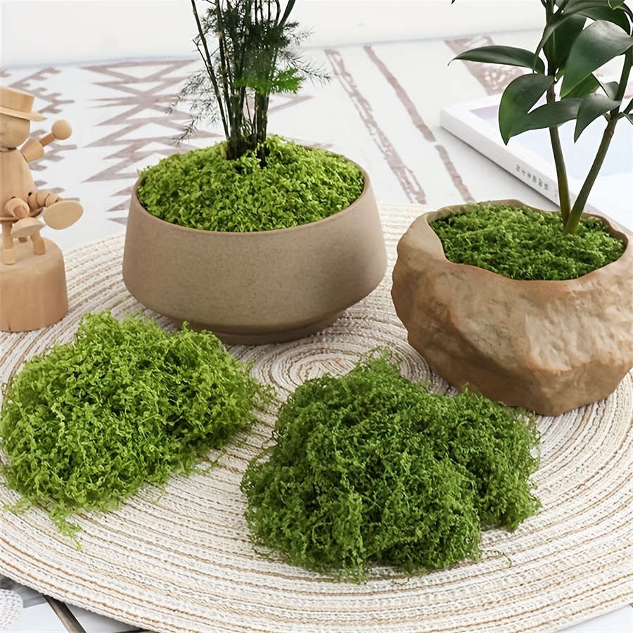 1 Packung künstliches Kunstmoo – Terrarium Moss Art Bewertung und Preis