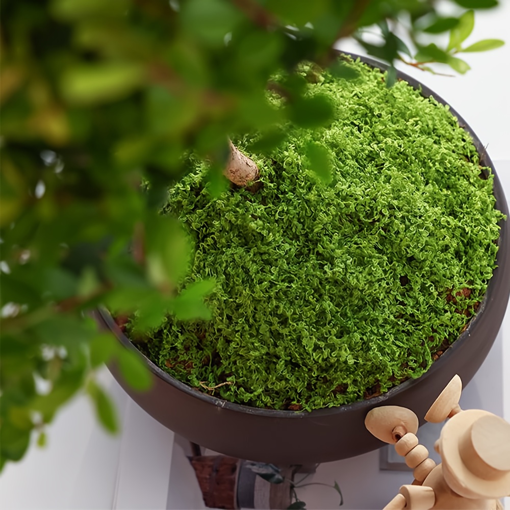 1 Packung künstliches Kunstmoo – Terrarium Moss Art Bewertung und Preis