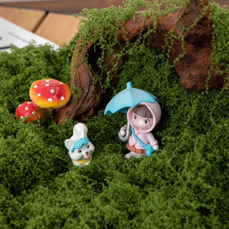 200g Ewiges Leben Moos DIY Bas – Terrarium Moss Art Bewertung und Preis