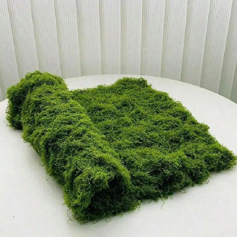 Künstliches Moos für Mikroland – Terrarium Moss Art Bewertung und Preis